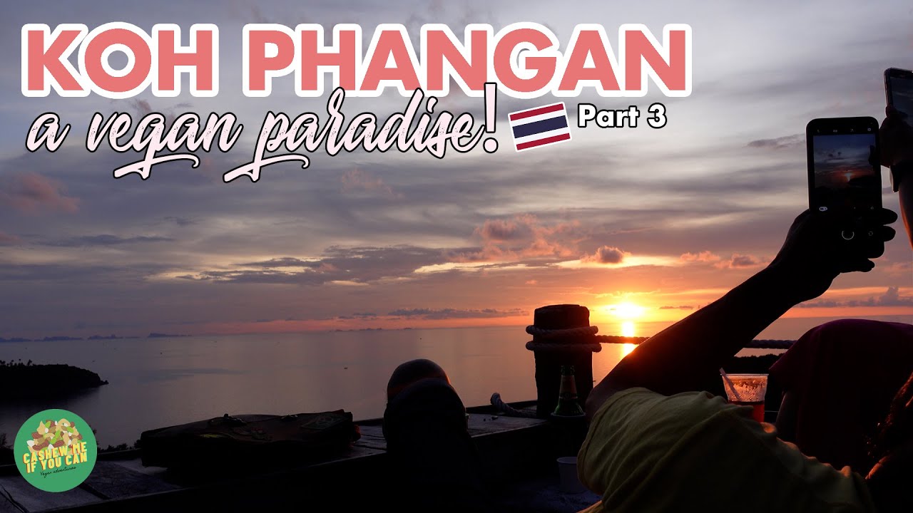 Koh Phangan | VLOG Plant-Based Dining in Thailand 🇹🇭 - PART 3