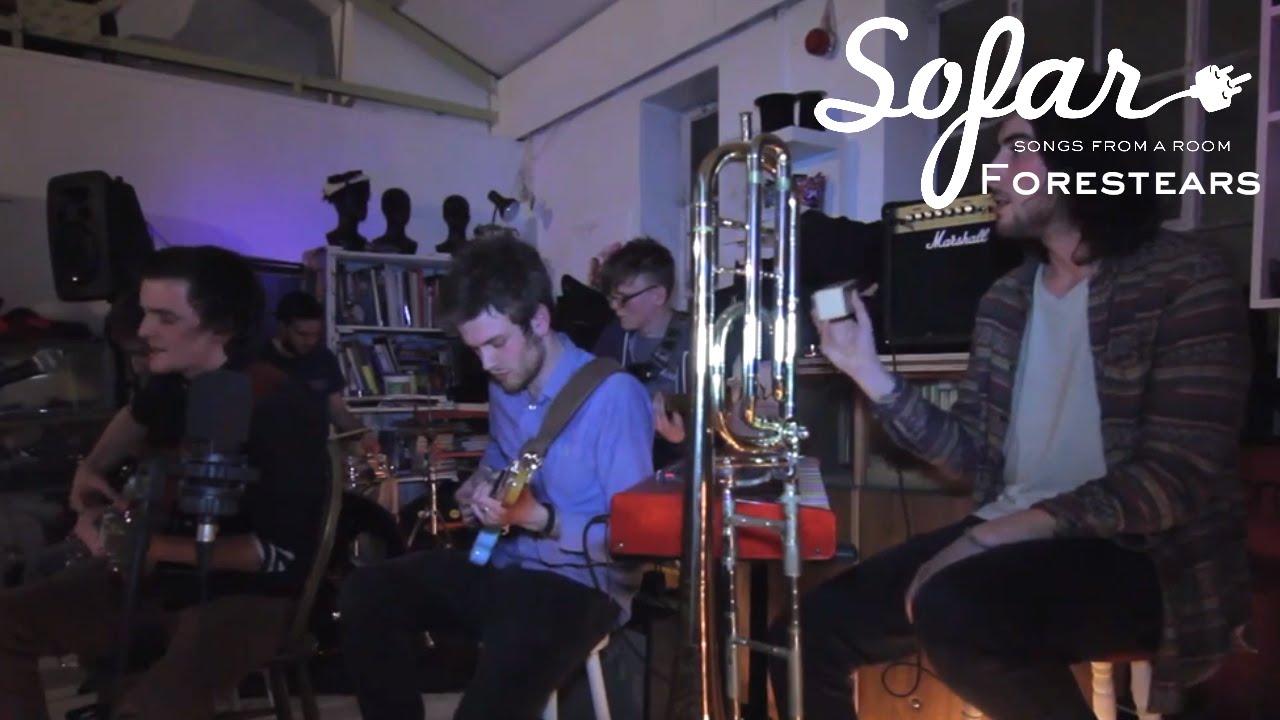 Forestears - Beached Whale | Sofar London