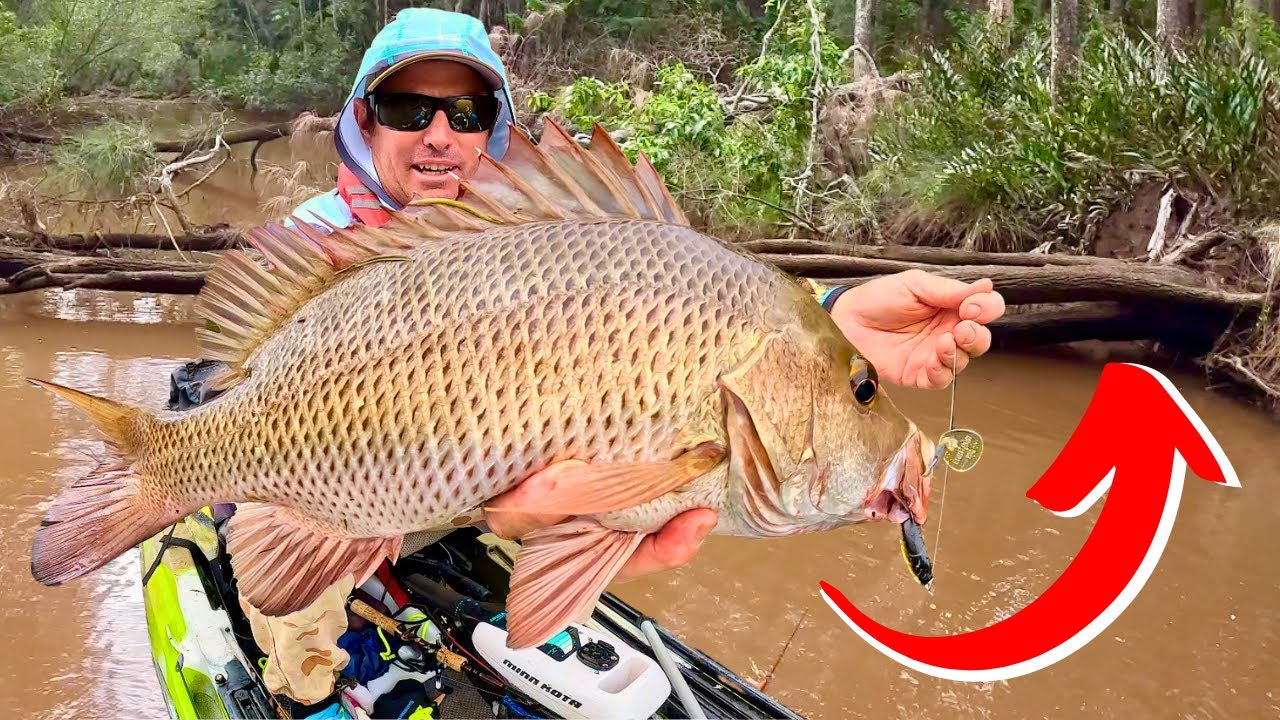 Would You Fish This CRAZY CREEK? 🕷️