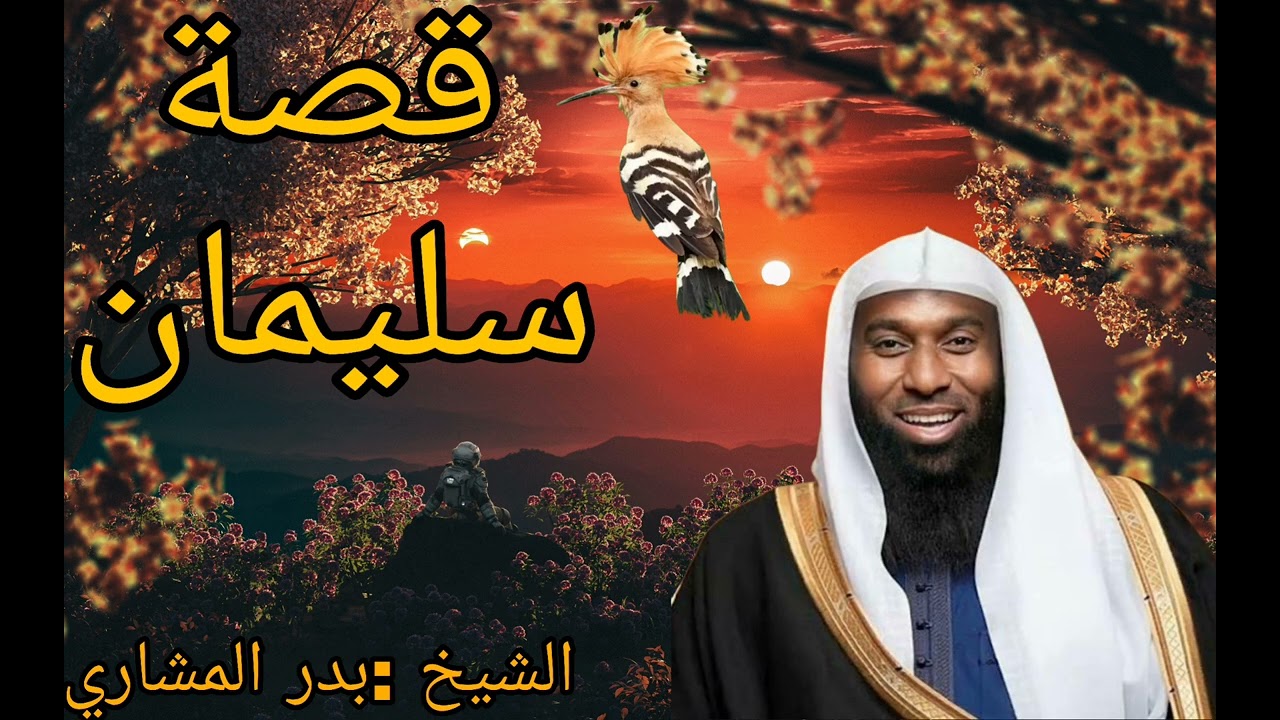 قصة سليمان عليه سلام :شيخ بدر المشاري