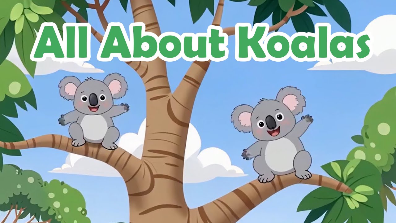 All About Koalas for Kids + Koala Song! 🐨🎶