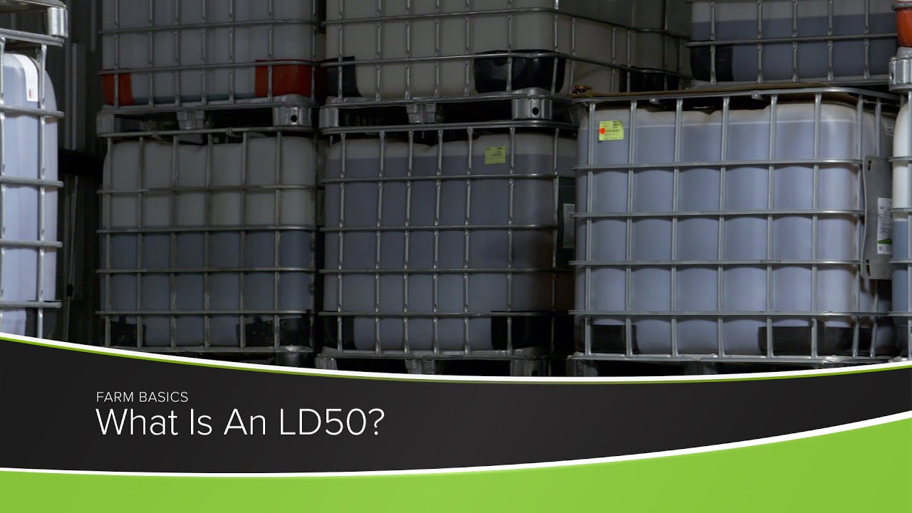 What Is An LD50?