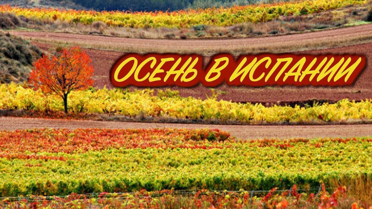 Осень в Castilla-La Mancha