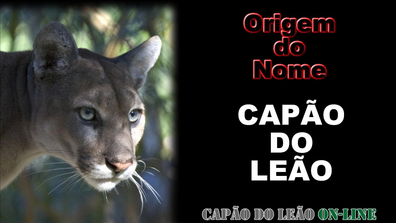 A ORIGEM DO NOME CAPÃO DO LEÃO (Programa # 001 - mini doc)
