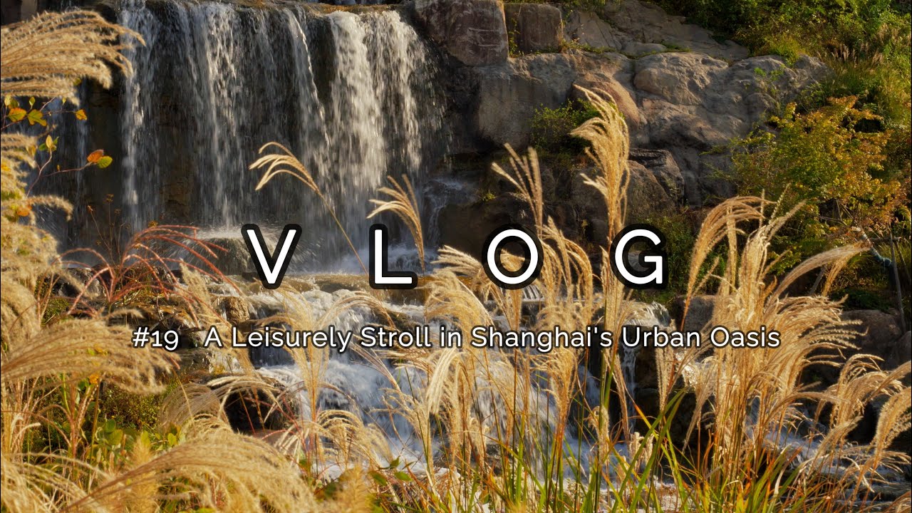 #19✅VLOG🍁A Leisurely Stroll in Shanghai's Urban Oasis|Calm & Cozy Day |slow life|@trytrysee1111