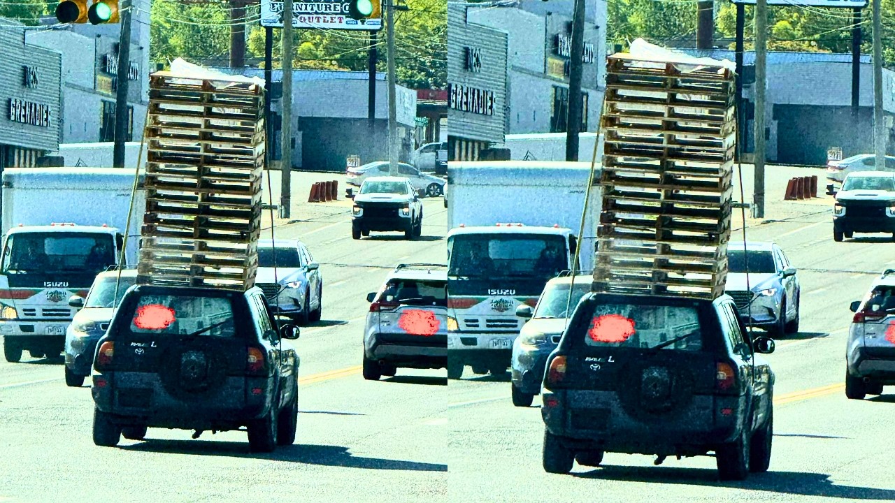 Idiots In Cars 401