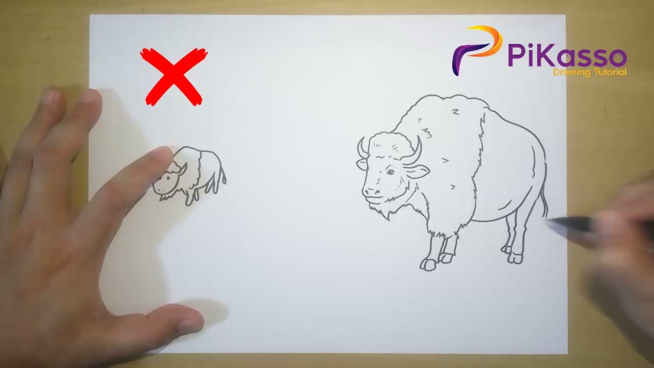 How to Draw Bison Drawing Step by Step