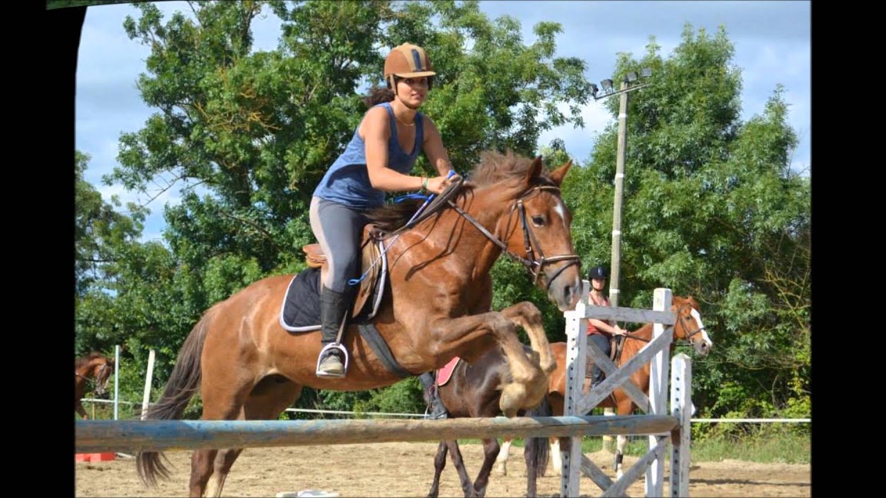 ELEVAGE DE SOULAC