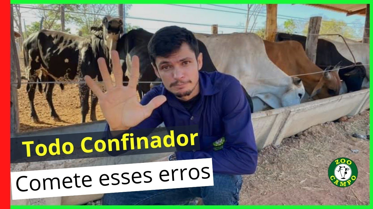 5 Erros que todo Confinador de boi comete em seu confinamento.