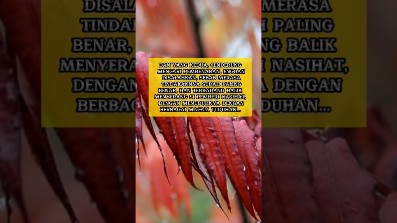ADA DUA TIPE ORANG KETIKA MENERIMA NASIHAT! KALAU KAMU YANG MANA NIH?