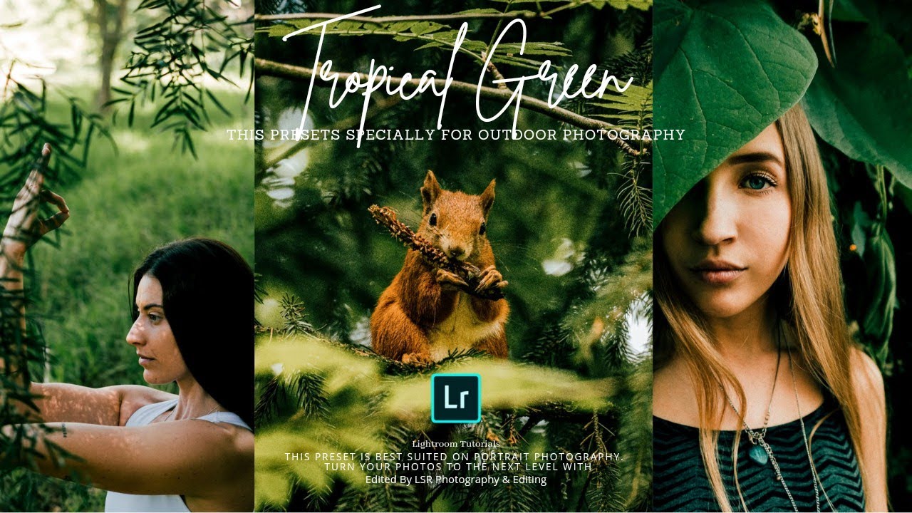 Tropical Green Preset - Nature Presets | Free Lightroom Presets XMP & DNG | Lightroom Tutorials