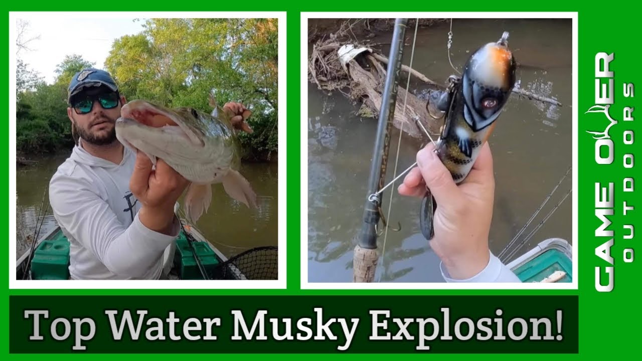 Unbelievable Jumping Musky On TOPWATER! Self Filming Muskie