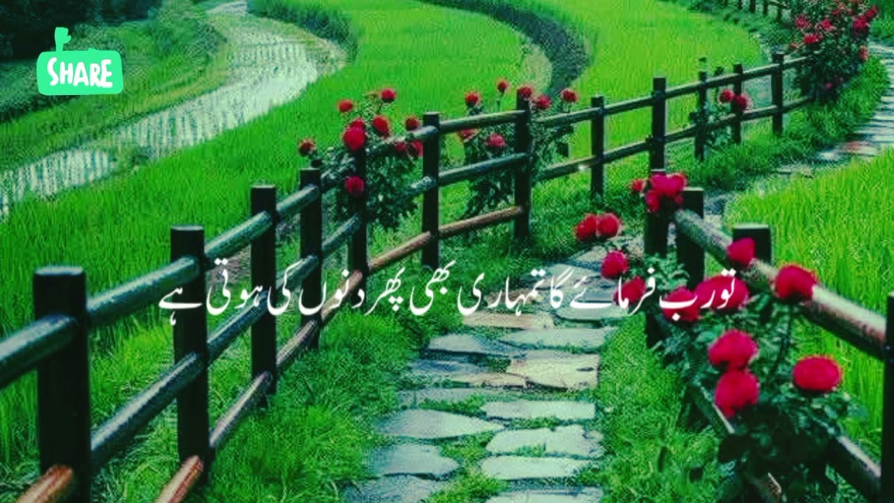 Rooh or jism ka Allah ki bargah me takrar