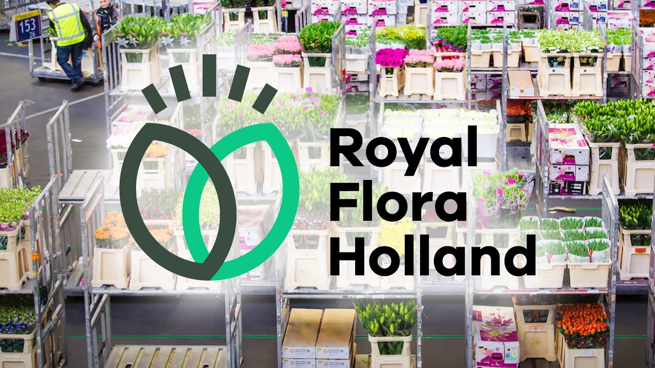 ROYAL FLORA HOLLAND / AMSTERDAM [ENGLISH SUBTITLE] [TURKCE ALTYAZI]