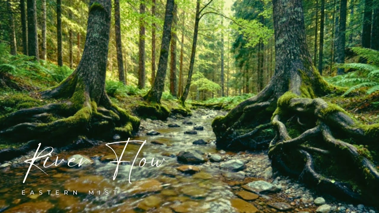 Pure River Sounds for Deep Sleep | Night Relaxation (2 Hours)