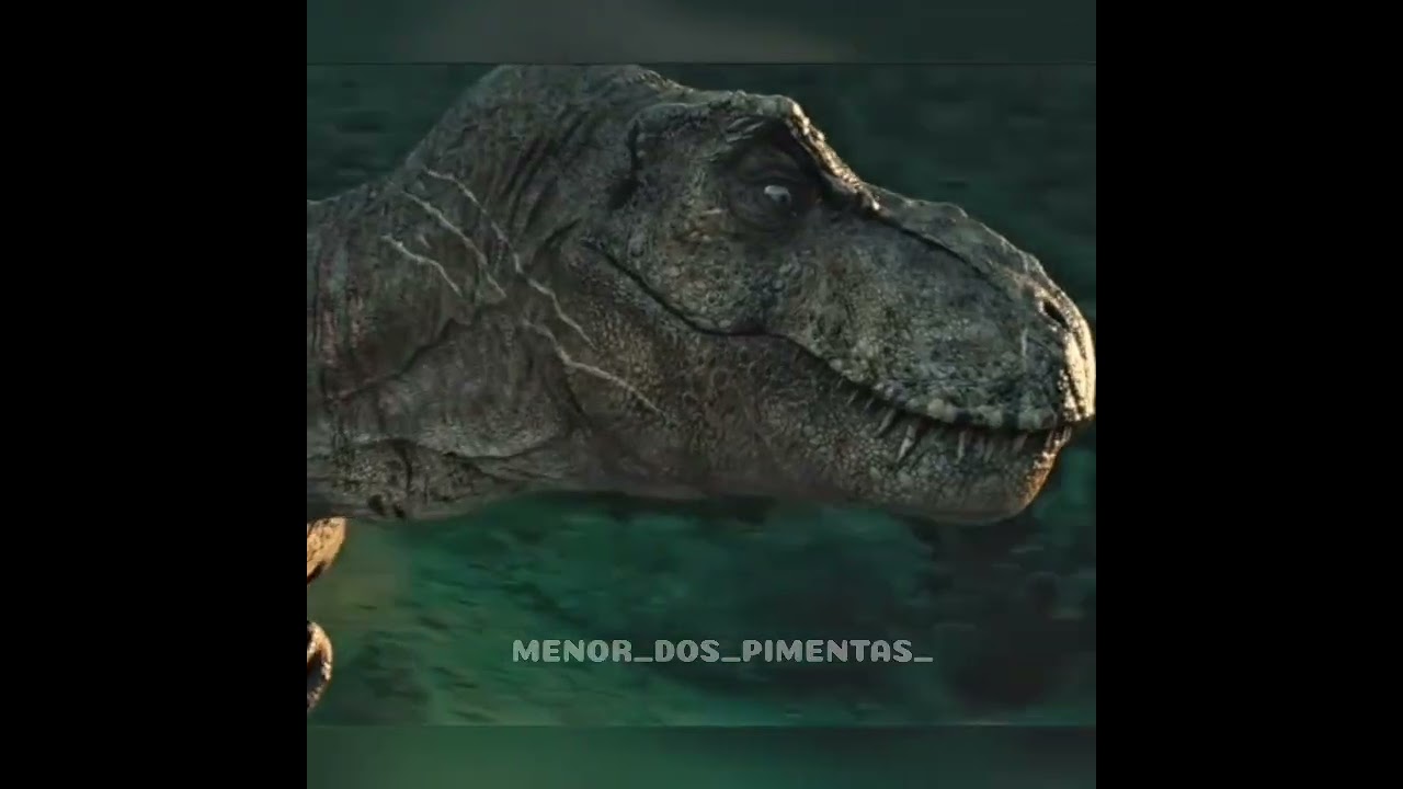 Memes de free fire 😂 