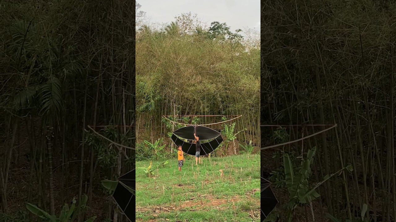 Pegon ceper 3 Meter pentangan 6 Meter ??? 😱😱😱 #layangangapangan #layangan #pegonceper