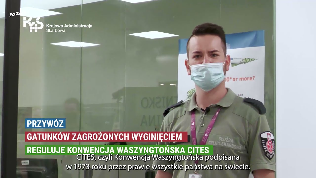 #PoznajKAS Zakazane pamiątki CITES