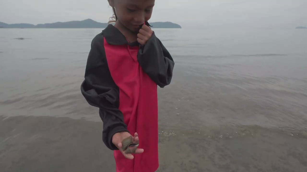 [Thai] To read the sea and see the sea creatures