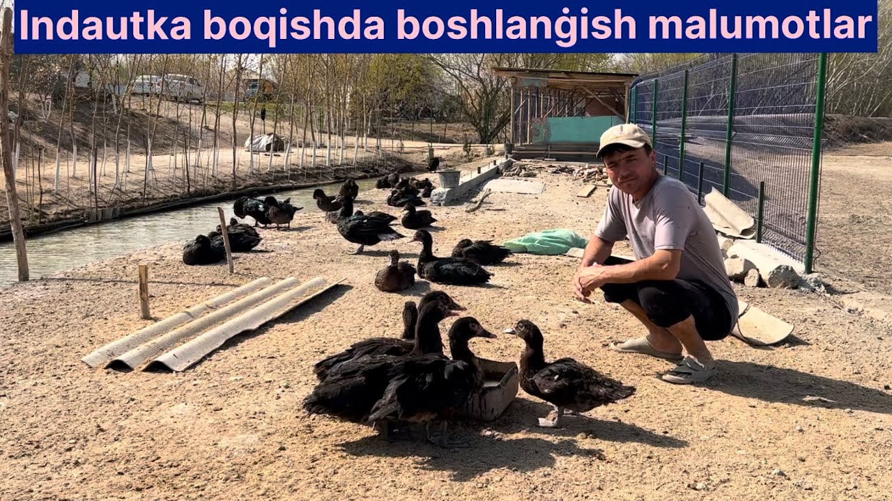 Indautka boqishni boshlash uchun nimalar qilish kerak kõrish shart