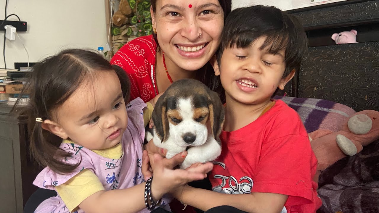 Hamara New Family Member 😍