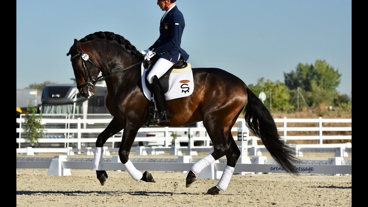 SIETE DE SUSAETA - CAMPEONATO ESPAÑA 2019- FINAL CCJ - 79%
