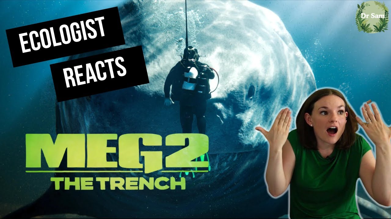 Shark Scientist Reacts to Meg 2: The Trench