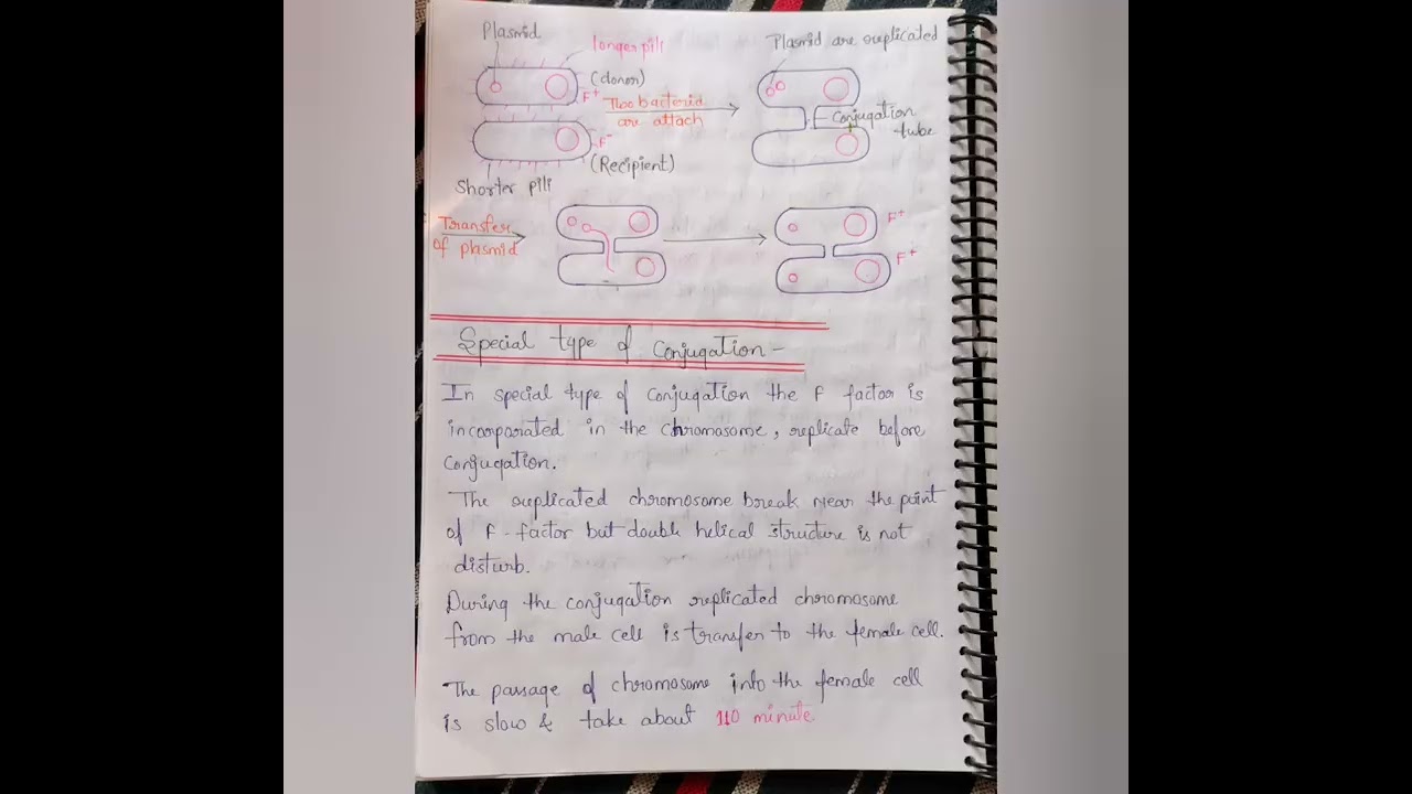 Reproduction Of Bacteria (Microbiology)Msc botany first semester