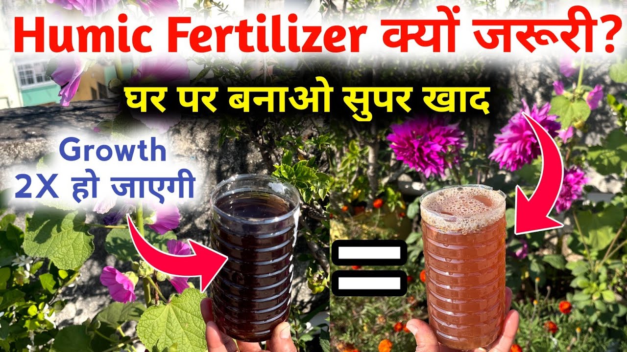Humic Fertilizer क्यों है जरूरी? घर पर बनाएं आसान तरीका | Humic Acid Fertilizer For Plants