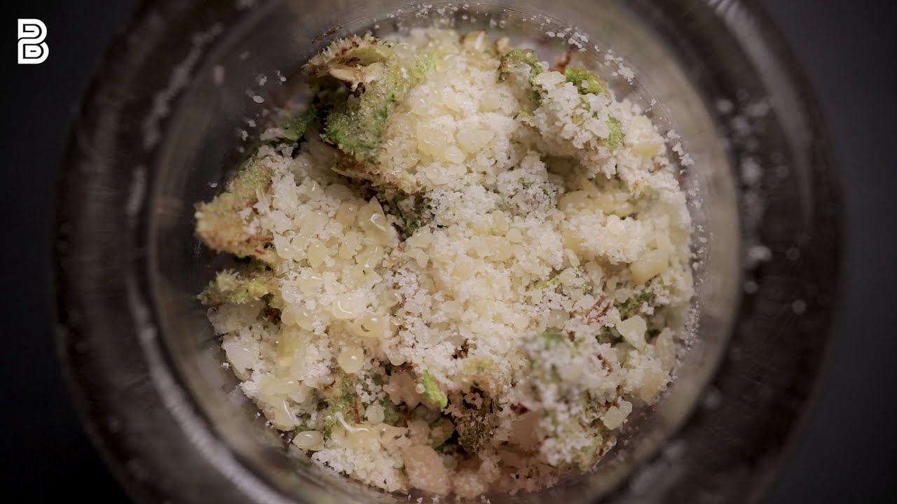 THCA Snow Melting from Blue River Terps (Part 2) | Budsbie Burns (Ep.23)