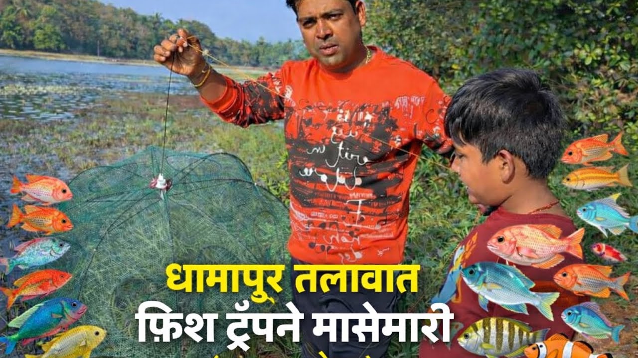 धामापूर तलावातफिश ट्रॅपने मासेमारी(मालवण–पेंडूर)🔹 #fishing #fishtrap #kokan #malvan 