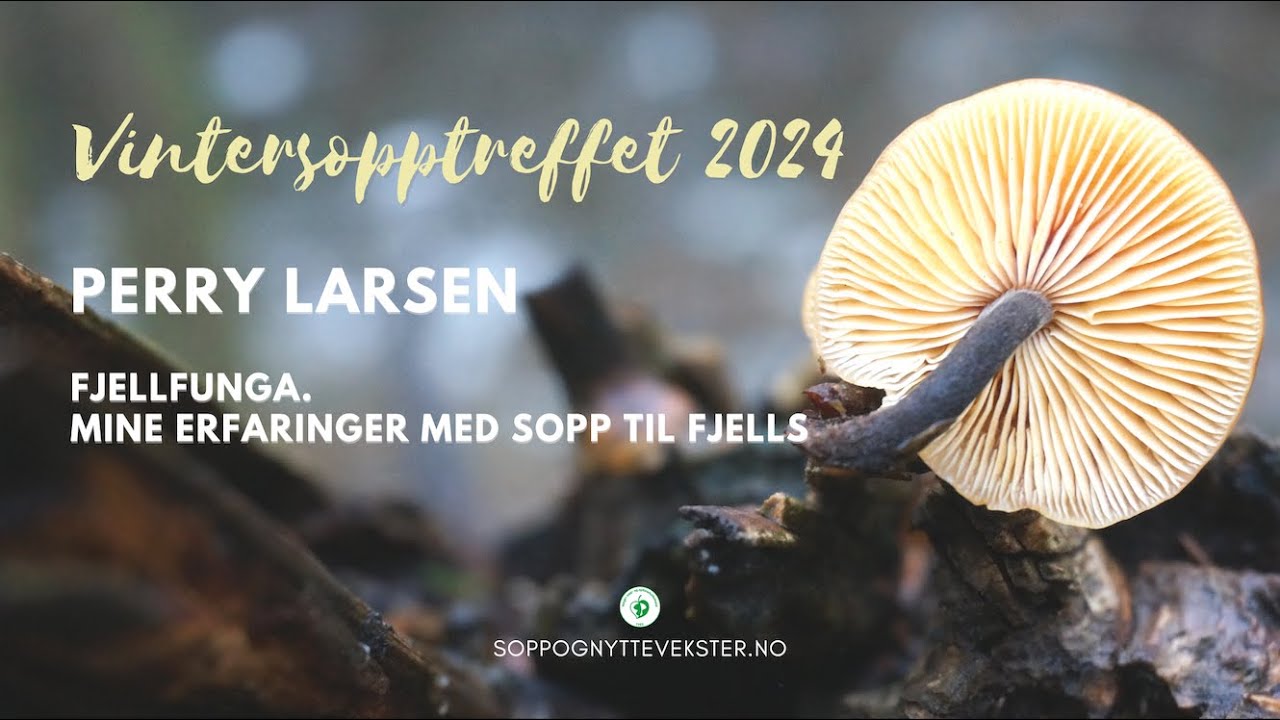 Perry Larsen: Fjellfunga. Mine erfaringer med sopp til fjells | VST24 | NSNF