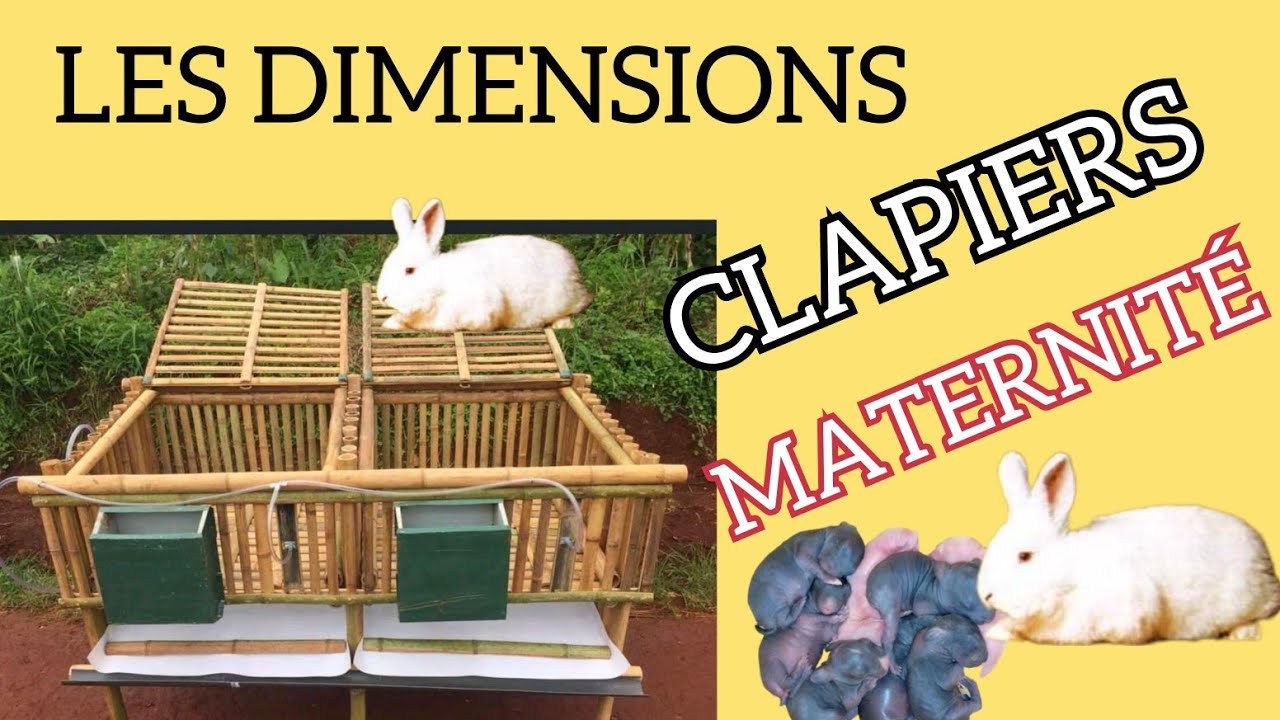 VOICI LES DIMENSIONS D'UNE LOGE, CAGE, CLAPIER DE MATERNITE, REPRODUCTION.@lepetitelevagefk
