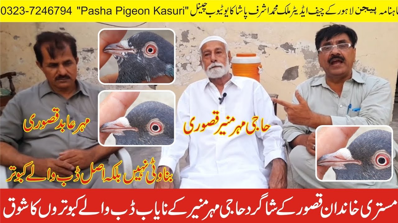 Mistri khandan kasur k shagird Haji Mehar Munir k Nayab Dubb waly Kabootaroon Ka shoq