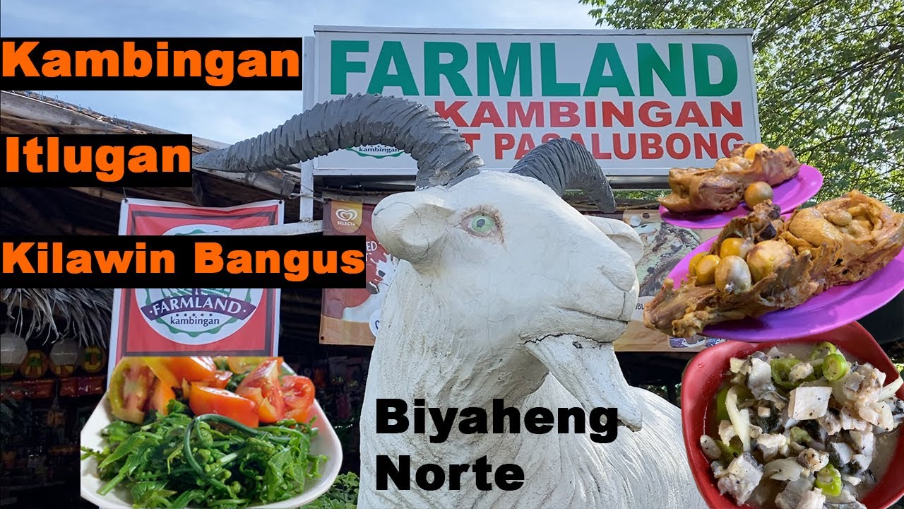 Kambingan Itlogan at lugawan sa Norte Tikim#49