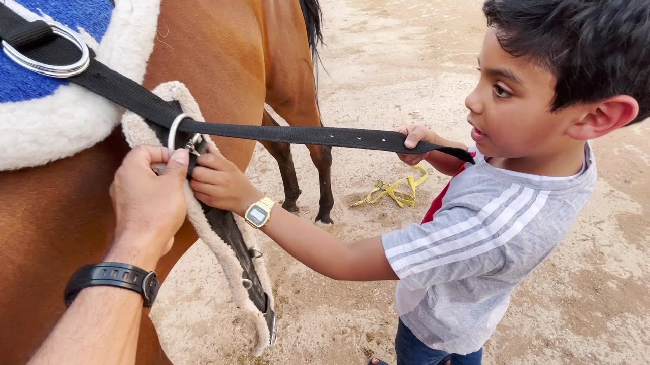 تنظيف الحوافر وتغيير الراسيه الجديده👍🏻😍