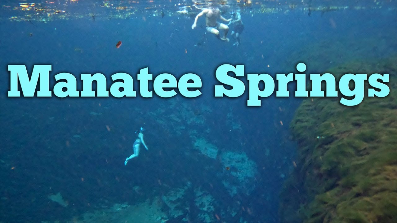 A quick tour of Manatee Springs