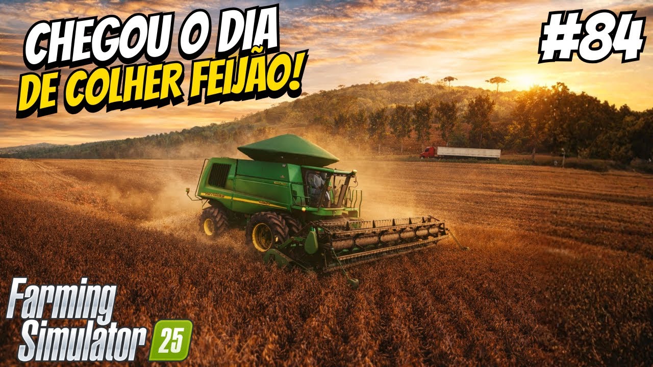 A SUPER SAFRA DE FEIJÃO FOI UM SUCESSO NA FAZENDA PITANGUEIRA #84