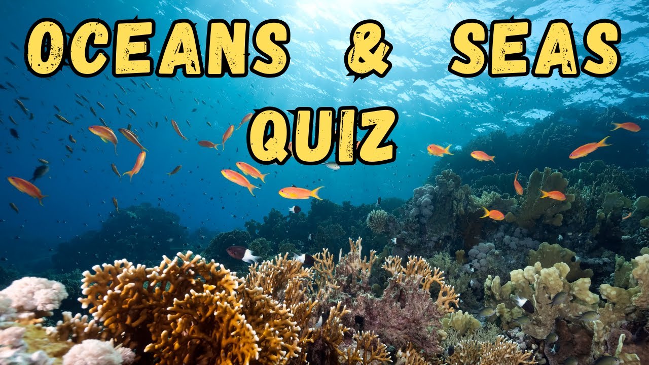 Geography Quiz: Oceans and Seas Trivia Game