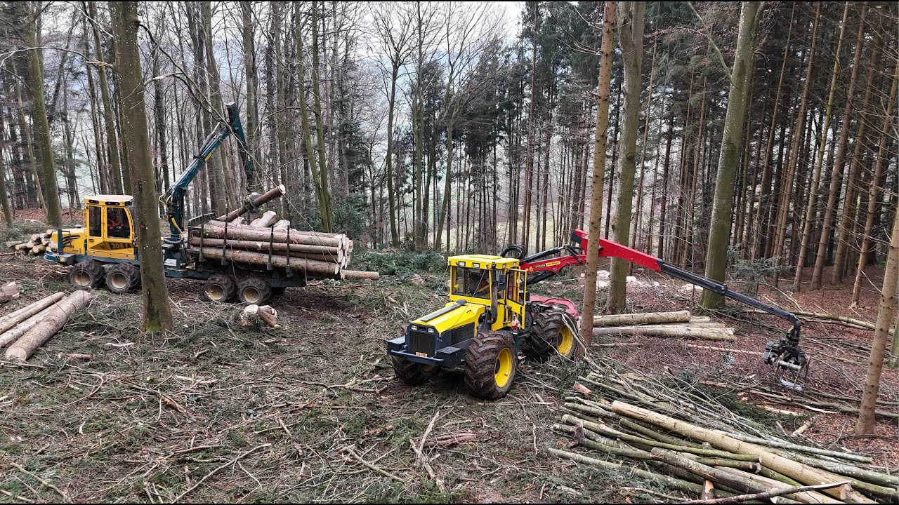 Holzschlag mit Zangenschlepper, Forwarder und Kettens&auml;ge 🇨🇭🪓🪵