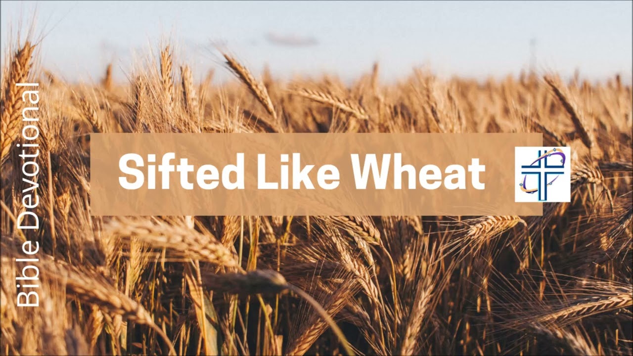 Sifted Like Wheat - The Power of Intercessory Prayer | Audio Devotional