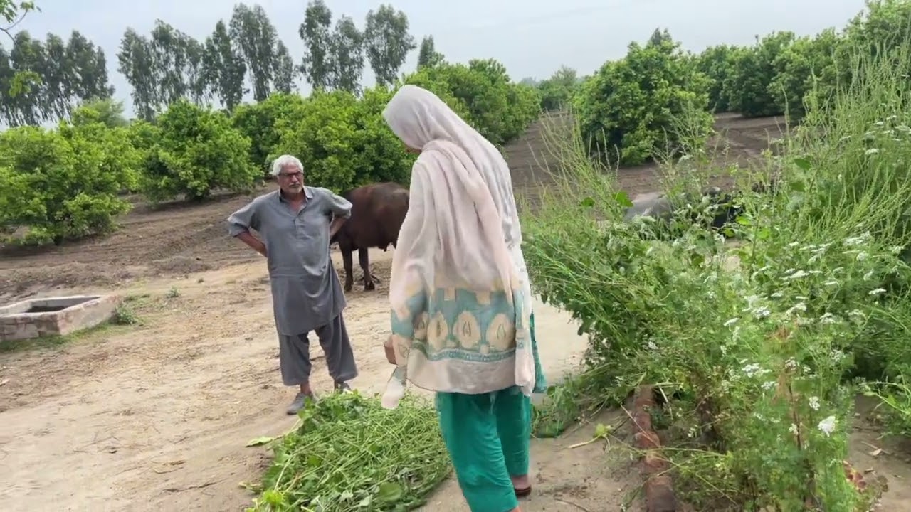 Abiou g Mujay naraz ho reha ha 