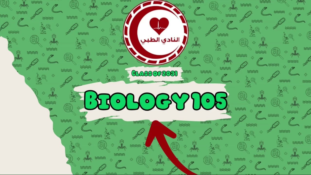 Lecture#18- Dr. Abeer