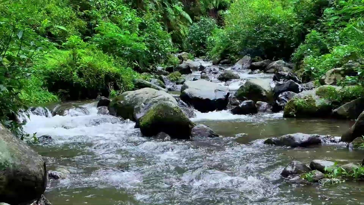 Stay deeply relaxed with calming river sound along a peaceful forest river for deeper sleep