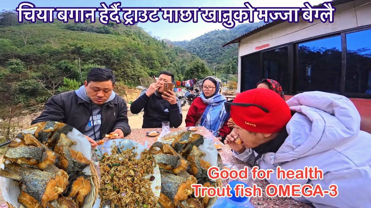 चिया बगानको काखमा रम्दै | Eating Omega 3 very tasty😋 स्वास्थ्यको लागि अति राम्रो माछा || Trout Fish