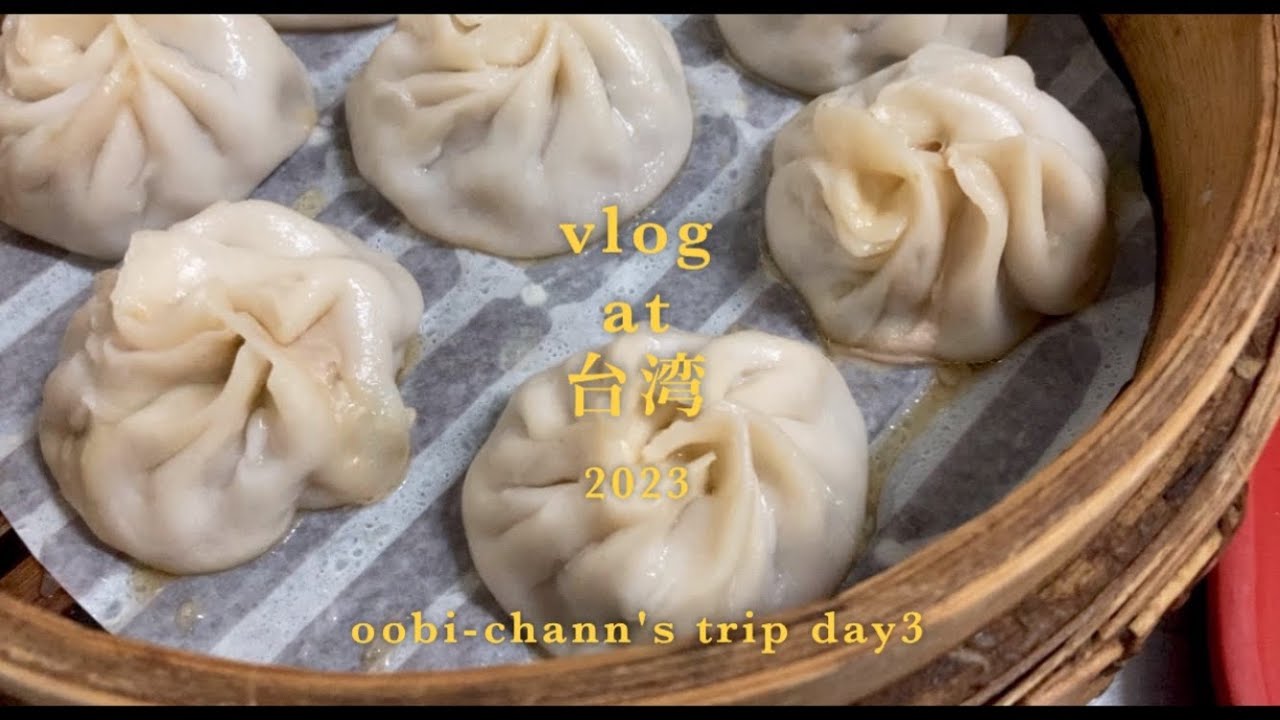 vlog | 11月の台湾旅行🇹🇼 2泊3日台北 DAY 3 | 小籠包から始まる朝 | 美味しいものばかり食べた旅 :)