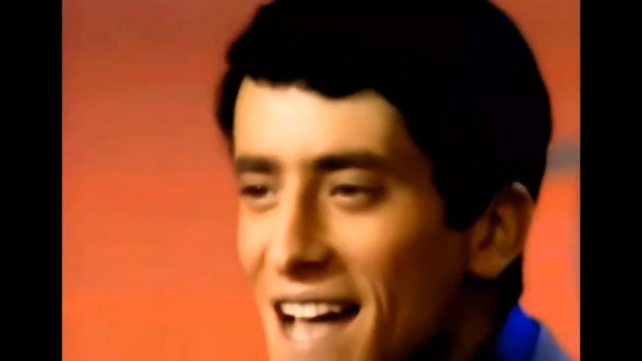 Gary Lewis & The Playboys GREEN GRASS (full edit version)