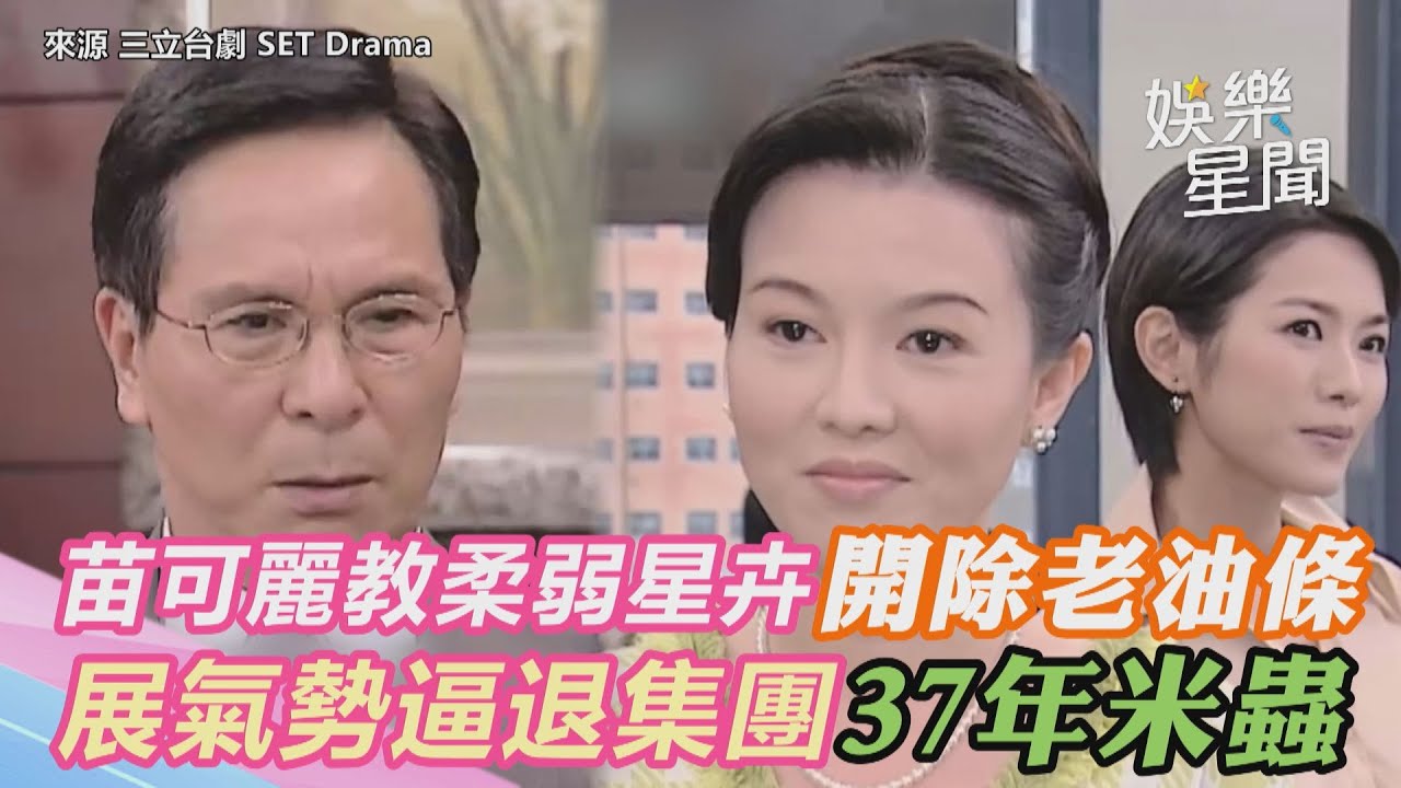 台灣龍捲風精華／苗可麗教柔弱星卉開除老油條　展氣勢逼退集團37年米蟲｜三立新聞網 SETN.com