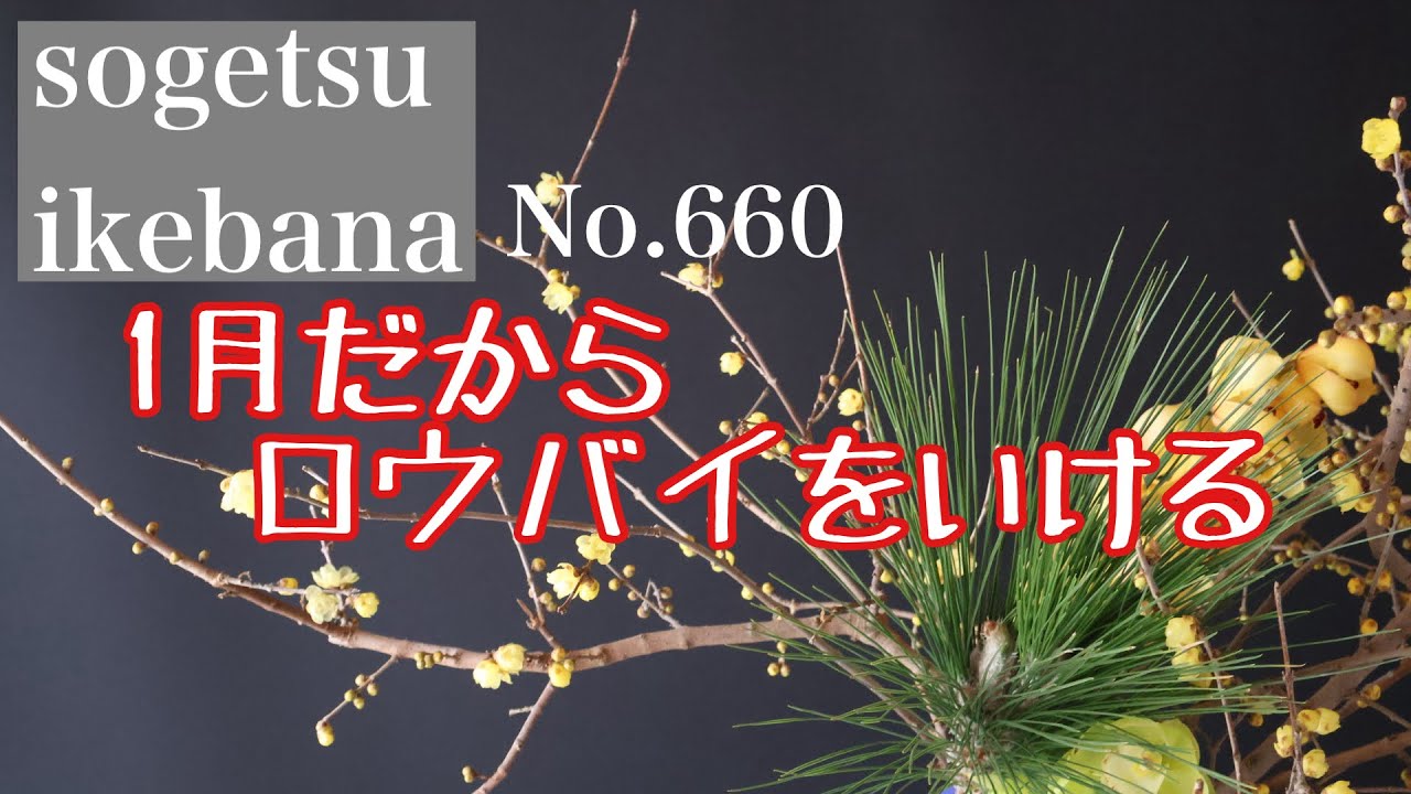 1月だからロウバイをいける　No.660
