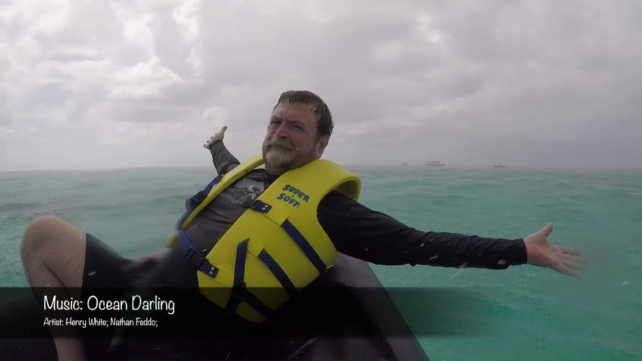 Way TOO Much - Diving on The Four Season Explorer in The Maldives 2018